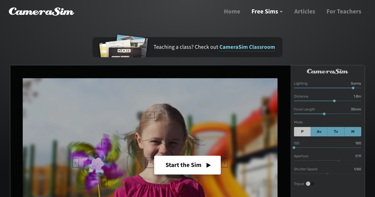 Composition Camerasim CameraSim: SLR Photography Demystified | Ryan Orban